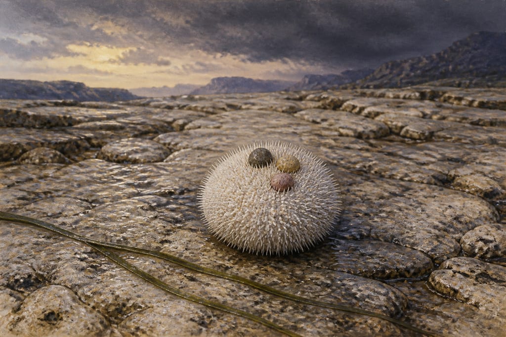 THE VARIOUS KINDS OF CRABS; THE PINNOTHERES, THE SEA URCHIN, COCKLES, AND SCALLOPS. Complete modern editorial illustration created specifically for this chapter.